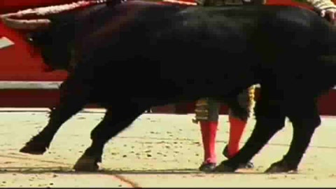 interview-enrique-ponce-2008