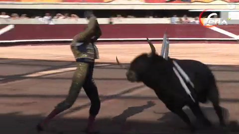 rafaelillo-triomphe-des-escolar-gil