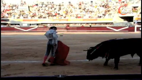 corrida-captivante-de-torrehandilla