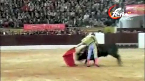 jose-tomas-a-olivenza