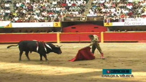 juan-bautista-coupe-deux-oreilles