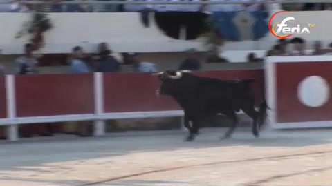 10-bougies-8-oreilles