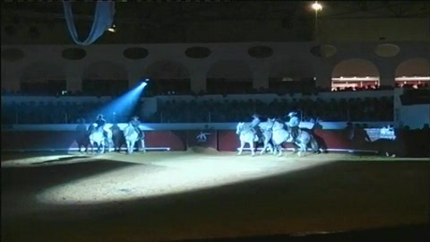 la-belleza-y-el-olor-de-la-fiesta