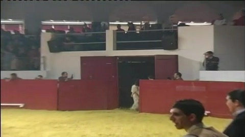 final-de-la-mujer-y-el-toro