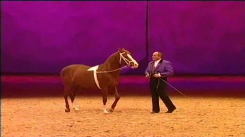 le-tableau-des-sauteurs-aux-crinieres-dor-2005