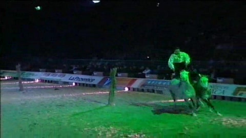 lorenzo-aux-crinieres-dor-2005