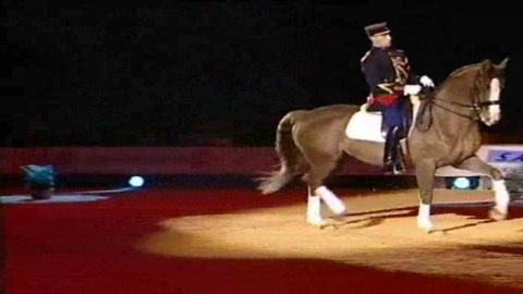 la-garde-republicaine-aux-crinieres-dor-2005