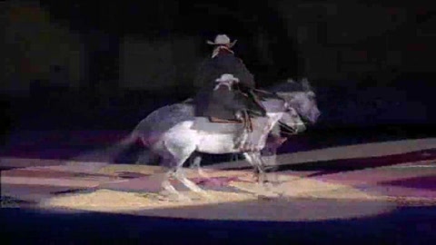 special-equitation-western-pour-les-crinieres-dor-2005