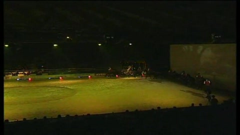 Les_crinieres_dOr_2006_Les_cavaliers_Butteri_de_la_maremma_Italienne.jpg