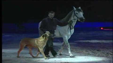 guillaume-assir-becar-aux-crinieres-dor-2007