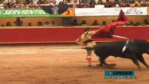 luis-bolivar-coupe-deux--oreilles