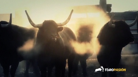 festejos-populares-castellon-2013