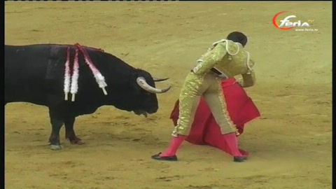 malaga-manzanares-la-seule-oreille