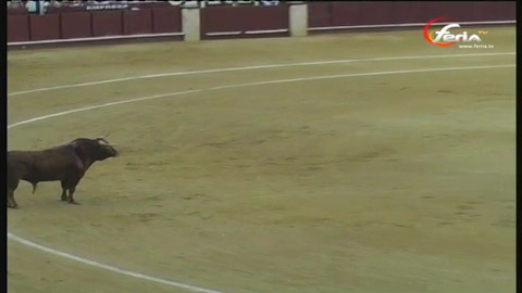 malaga-destaca-el-fandi