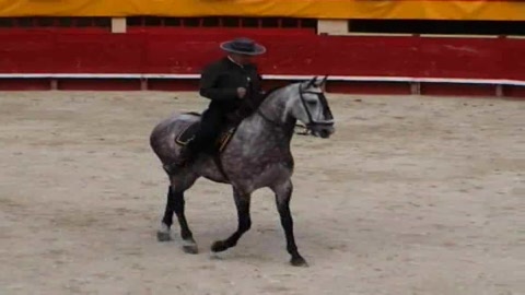xx-romeria-mauguio-spectacle-equestre