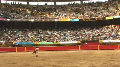 cesar-rincon-oreille-et-oreille