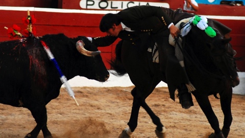 diego-ventura-triomphe-a-merida
