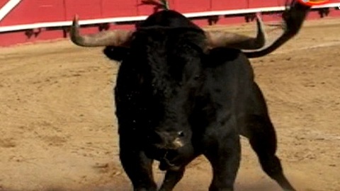 sans-oreilles-mais-avec-des-couilles