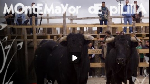 Montemayor.jpg