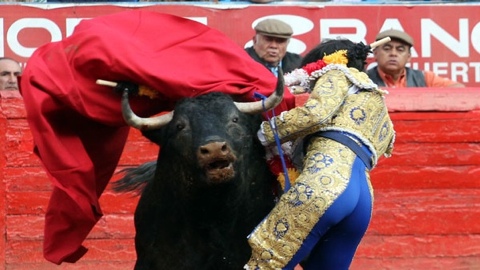 oreille-pour-frivera-et-maguilar