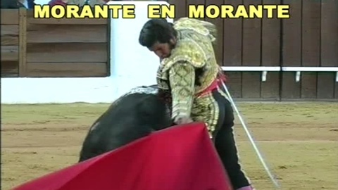 morante-en-morante
