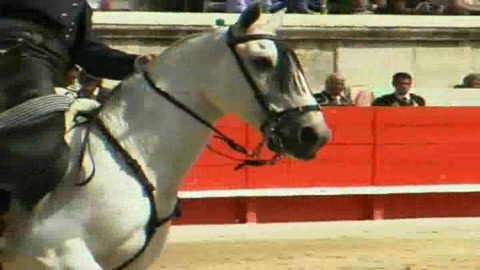 nimes-2008-corrida-de-rejon