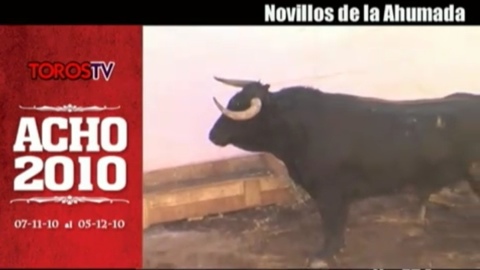 la-ahumada-pour-dufau-silveti-barrantes