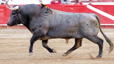 ventura-garibay-et-adame-a-guadalajara