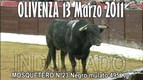 indulto-de-mosquetero-par-antonio-ferrera