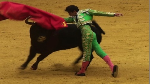 la-tarde-de-perera-a-san-sebastian