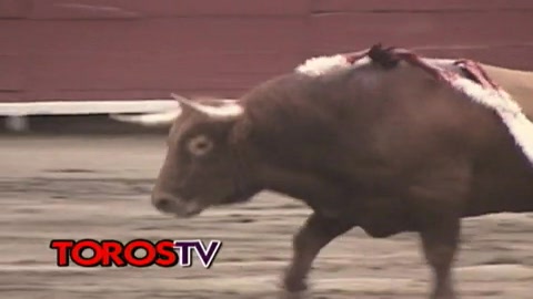 juli--el-cid-et-perera-en-acho-2009