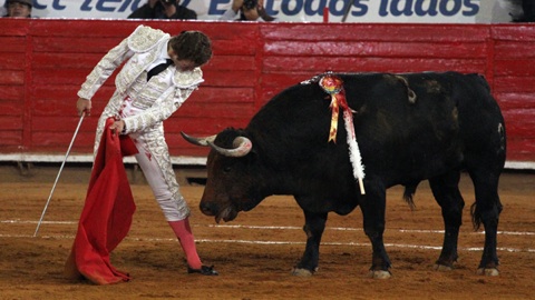 les-deux-premieres-oreilles-de-mexico