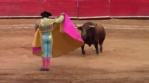 mexico-hernandez-macias-adame