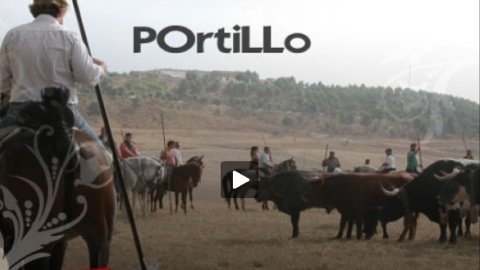 Portillo a la Primera Persona