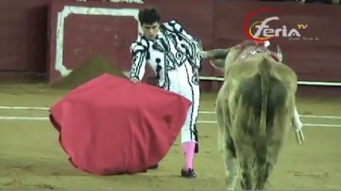 une-oreille-avec-frayeur-pour-abellan