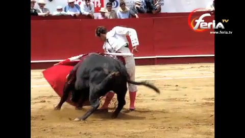 feria-de-quito-triomphe-de-castella