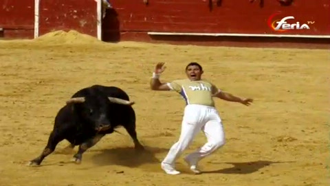 recortadores-en-valencia