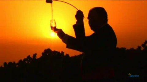 routes-du-vin-et-du-sherry-de-jerez