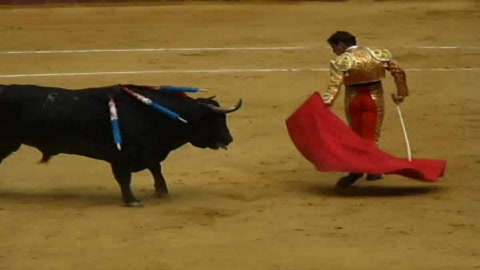 el-juli-et-perera coupent-une-oreille