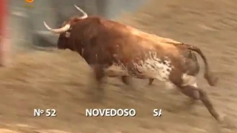 les-ventorrillo-pour-seville