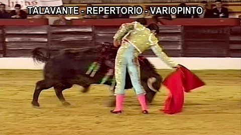 olivenza-talavante-a-gusto