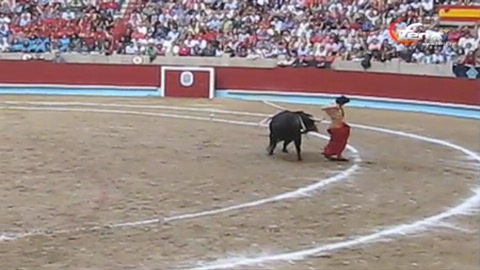 la-tarde-de-castella-a-pontevedra