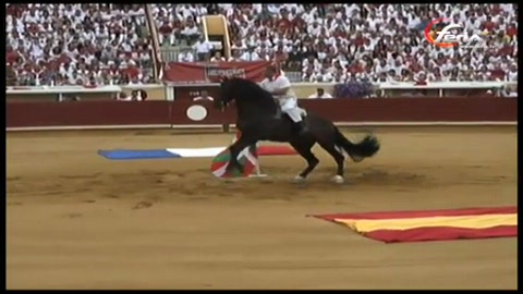 bayonne-toro-emocion-2009