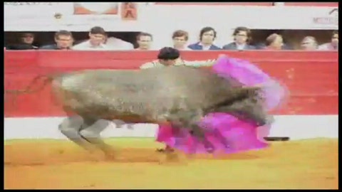 le-premier-san-roman-a-vic