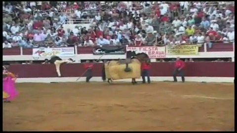 mehdi-savalli-sur-le-dernier-san-roman