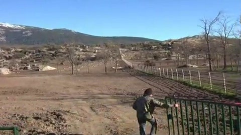 novillos-de-flor-de-jara