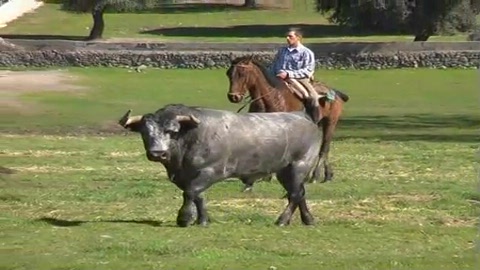 les-escolar-gil-de-vic