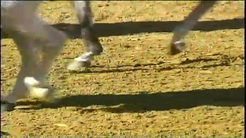 san-lorenzo-de-valladolid