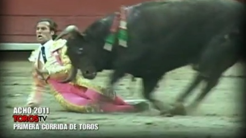 voltereta-et-triomphe-pour-david-mora