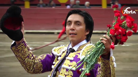 acho-solitaire-oreille-pour-cubas